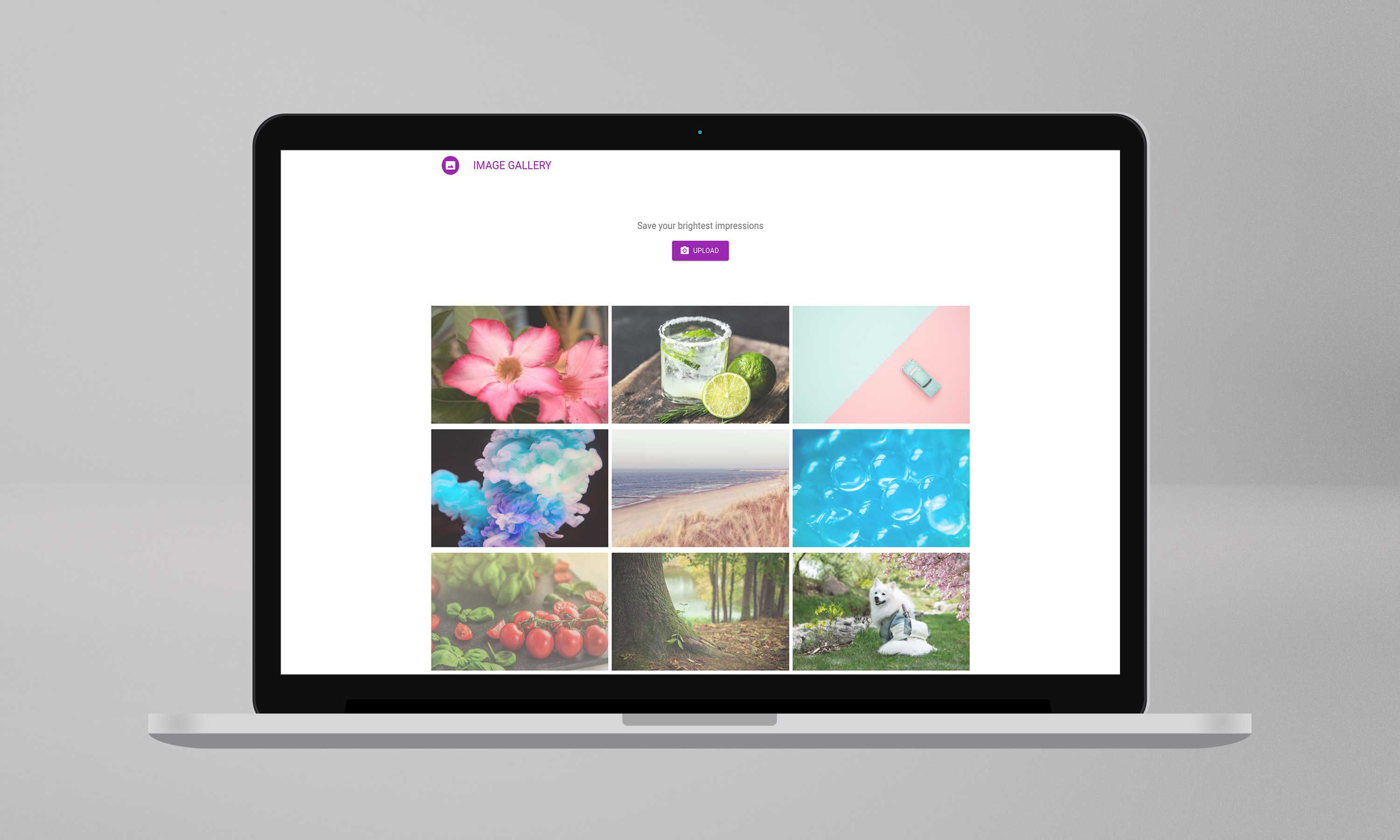 Image gallery