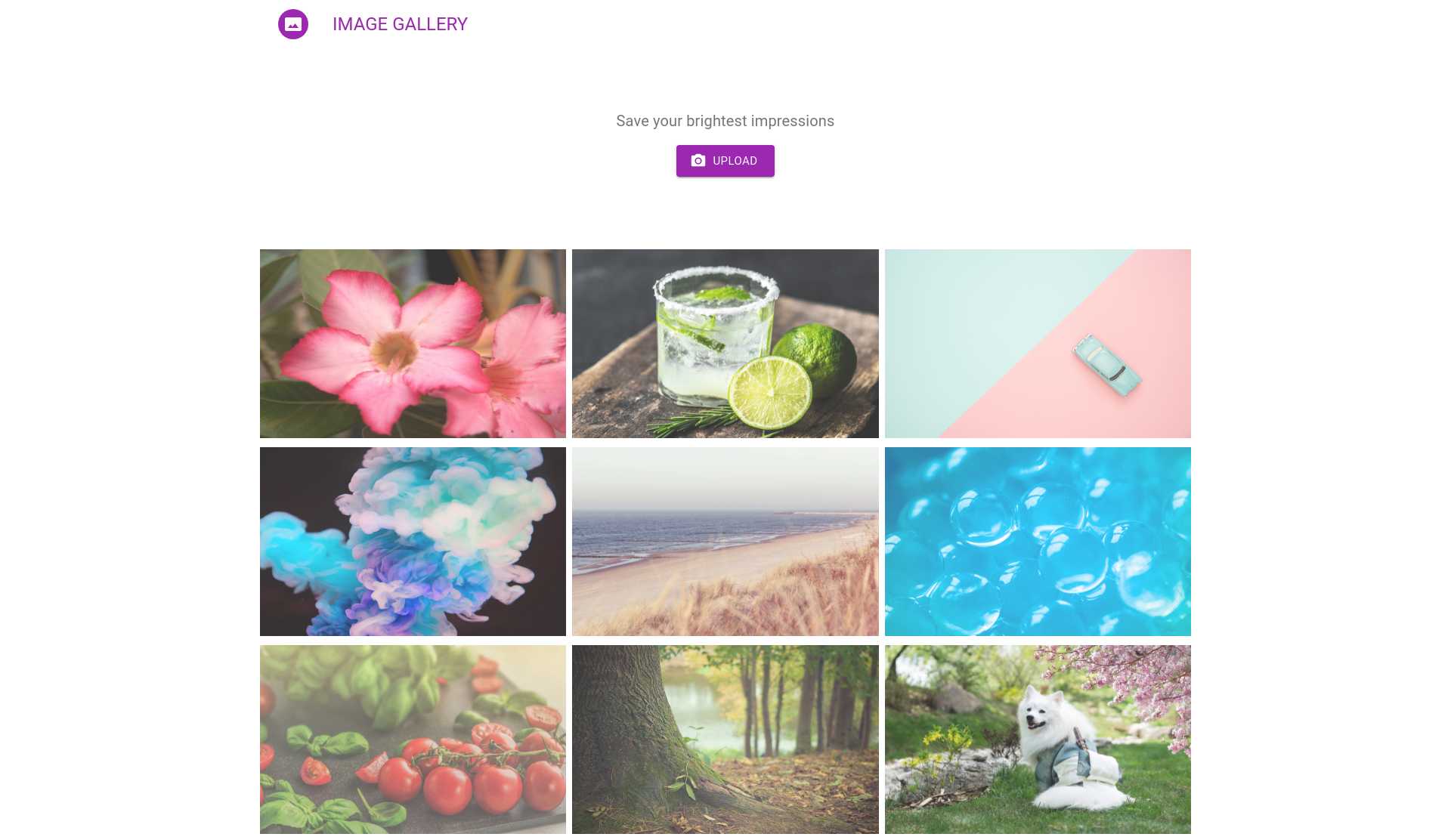 Image gallery